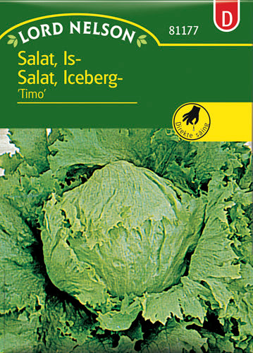 Salat, Iceberg-, Timo