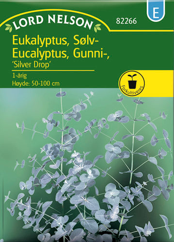 Eucalyptus, Gunni-, Silver Drop
