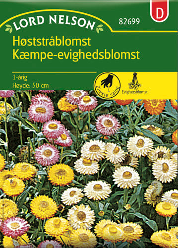 Evighedsblomst, Kæmpe-, lav, bl. farver