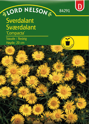 Sværdalant, Compacta