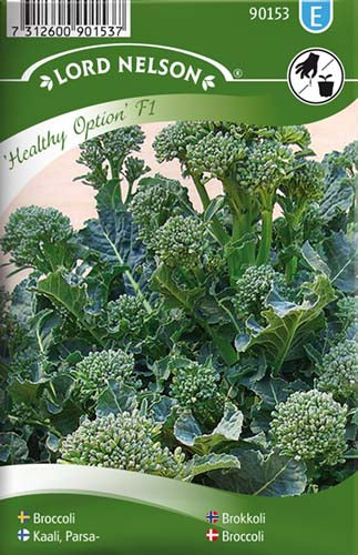 Broccoli, Healthy Option F1