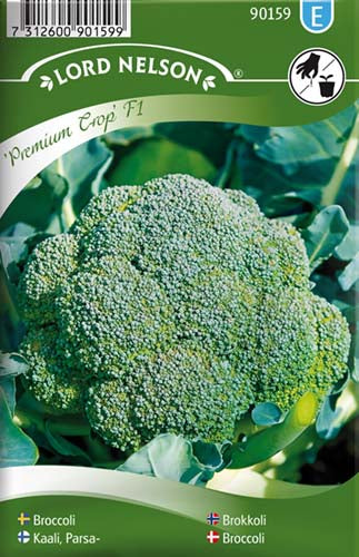Broccoli, Premium Crop F1