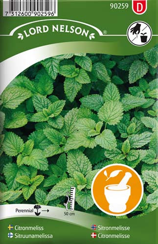 Citronmelisse - Melissa officinalis L.