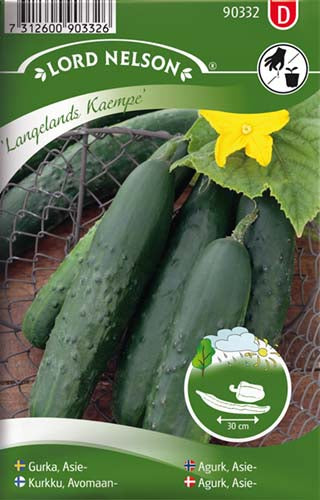 Agurk, Asie-, Langelands Kaempe, grøn