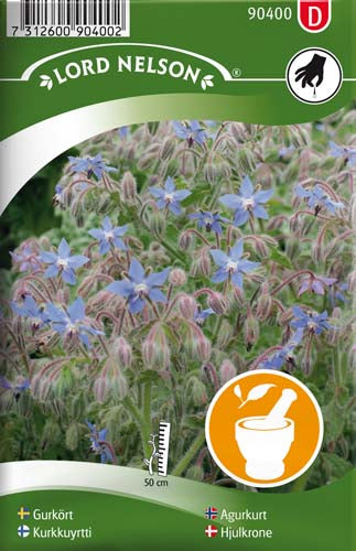 Hjulkrone - Borago officinalis