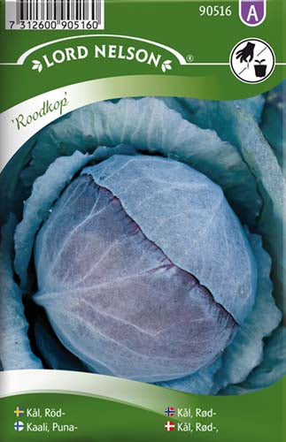 Kål, Rød-, Roodkop