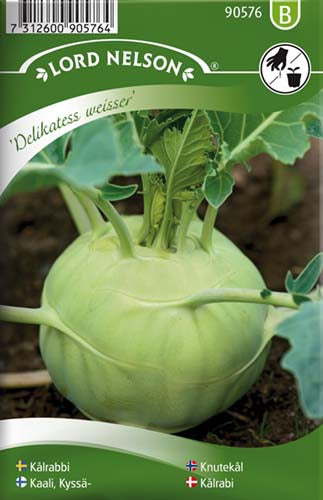 Kålrabi, Delikatss Weisser