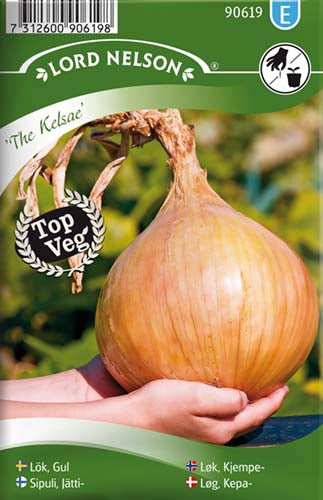 Løg, Kepa-, The Kelsae