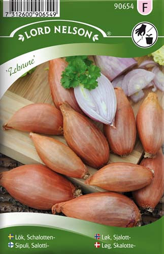 Løg, Skalotte-, Zebrune, aflang