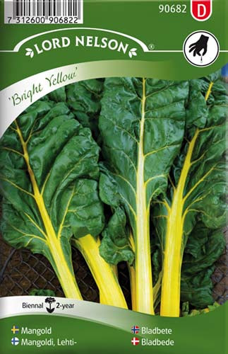 Bladbede, Bright Yellow
