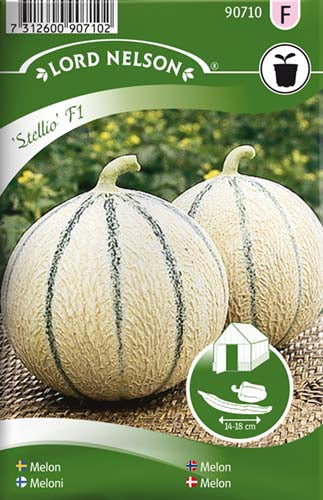 Melon, Stellio F1