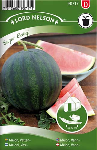 Melon, Vand-, Sugar Baby