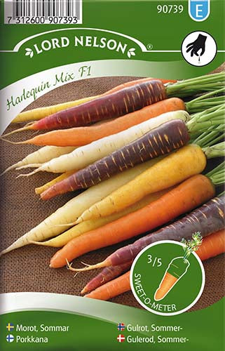 Gulerod, Sommer-, Harlequin Mix F1