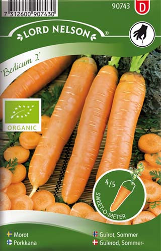 Gulerod, Sommer-, Berlicum 2, Organic