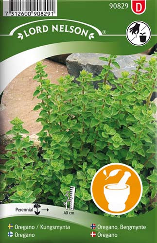 Oregano, Vild merian - Origanum vulgare L.