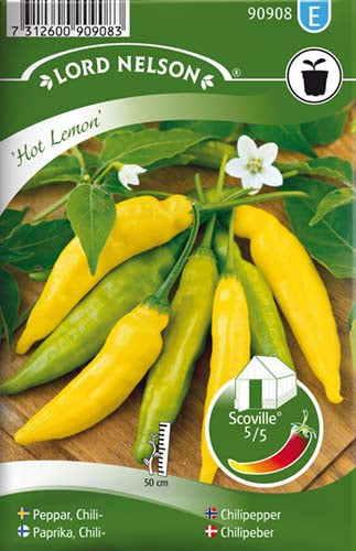 Chili, Ají-, Hot Lemon