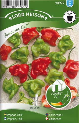 Chili, Ají-, Jamaican Bell