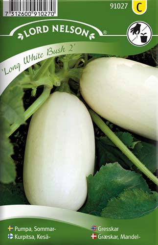 Græskar, Mandel-, Long White Bush 2