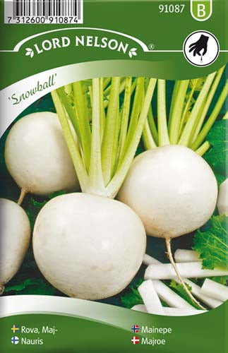Majroe, Snowball