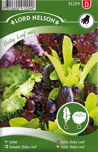 Salat, Baby Leaf, Mix