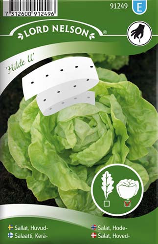 Salat, Hoved-, Hilde II, Såbånd