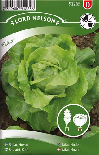 Salat, Hoved-, Oliver