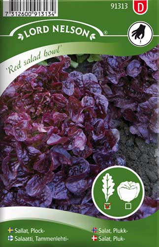 Salat, Pluk-, Red salad bowl
