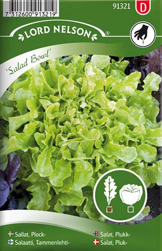 Salat, Pluk-, Salad Bowl