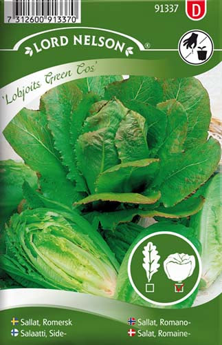 Salat, Romaine-, Lobjoits Green Cos