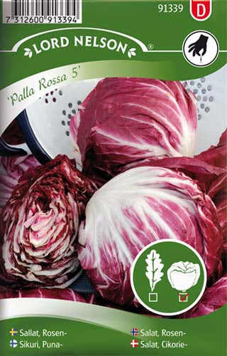 Salat, Cikorie-, Palla Rossa 5