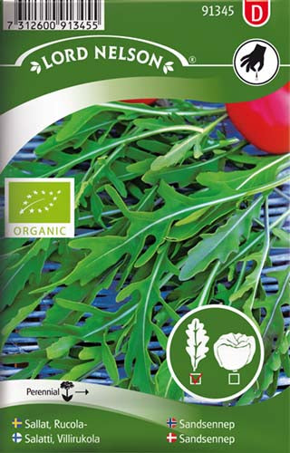 Sandsennep/Vild rucola, Organic