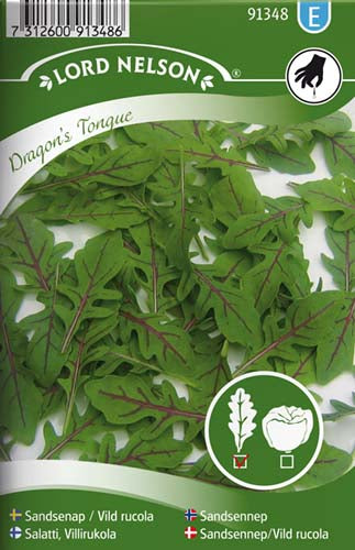 Sandsennep/Vild rucola, Dragon’s Tongue