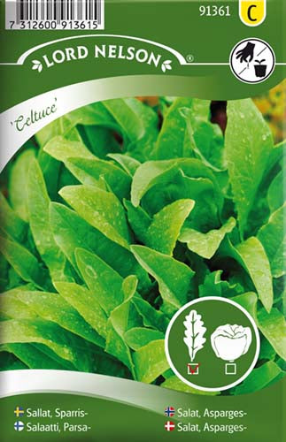 Salat, Asparges-, Celtuce
