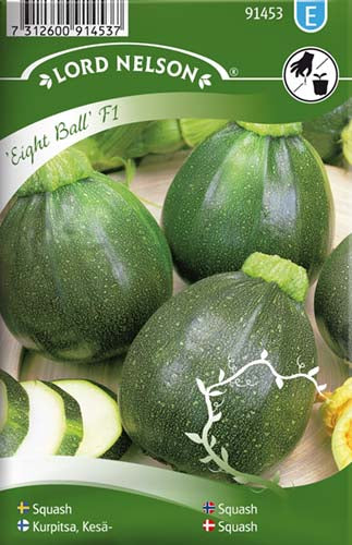 Squash, Eight Ball F1