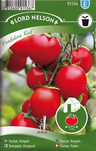 Tomat, Potte-, Pendulina Red