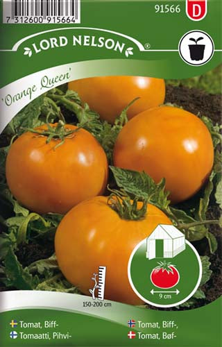Tomat, Bøf-, Orange Queen – Bjarne's frø og planter