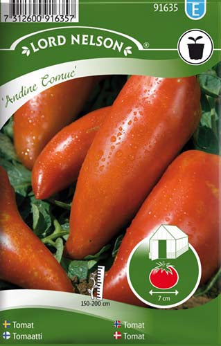 Tomat, Andine Cornue