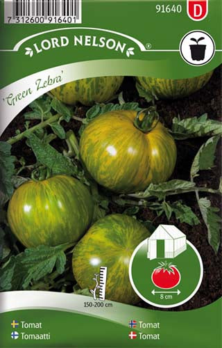 Tomat, Green Zebra