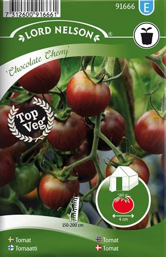 Tomat, Kirsebær-, Chocolate Cherry