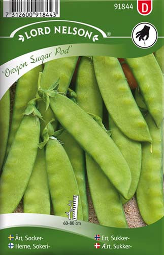 Ært, Sukker-, halvhøj, Oregon Sugar Pod