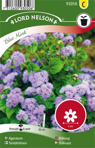 Blåkvast, Blue Mink