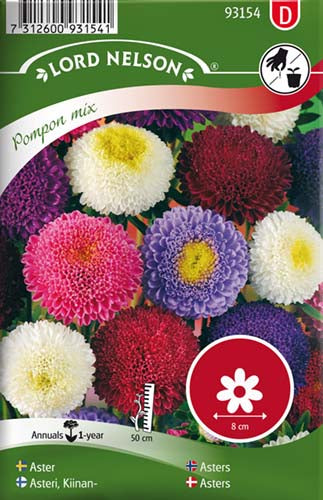 Asters, Sommer-, Pompon, bl.farver