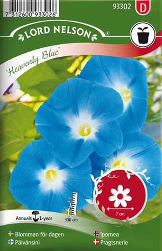 Pragtsnerle, Trefarvet, Heavenly Blue