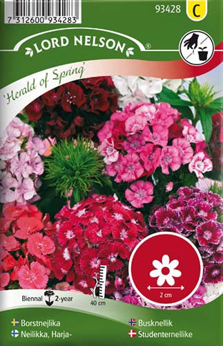 Nellike, Studenter-, Herald of Spring