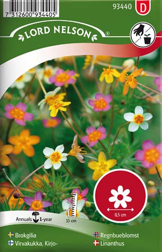 Linanthus