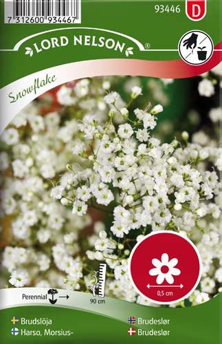 Brudeslør-, Flerårig, Snowflake, dobbel
