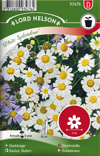Dukkekrave, White Splendour, hvid
