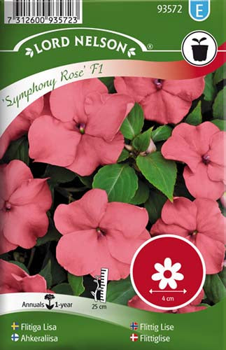 Flittiglise, Symphony Rose F1, rosa