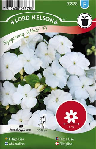 Flittiglise, Symphony White F1, hvid