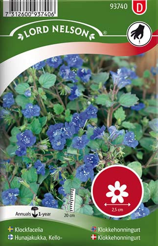 Klokkehonningurt, Phacelia Campanularia